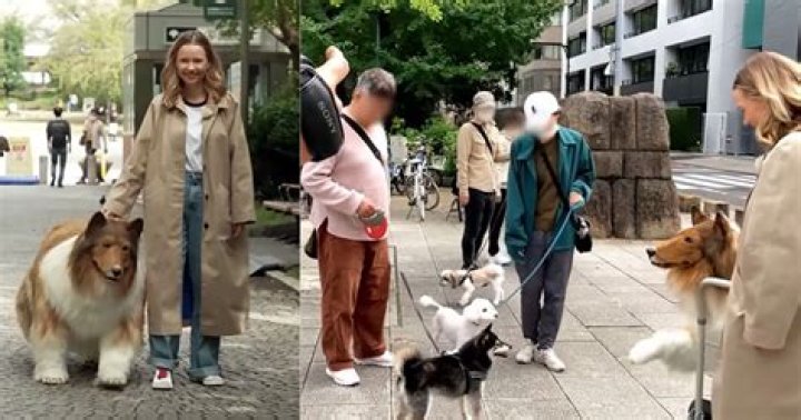 
Who is Toco dog man? Japanese-native becomes canine after buying $15,000 Collie costume 