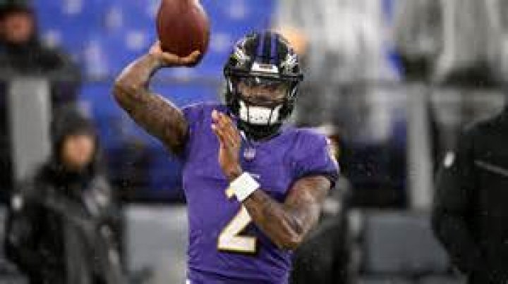 Who Was Ryan Mallet Age, Wife, Bio, Children, Net-Worth, Former Ravens QB