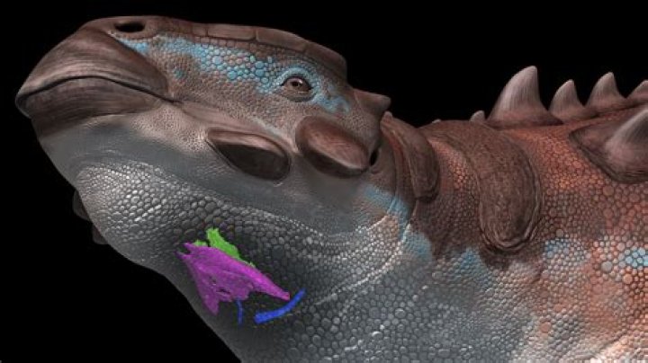 Why is it called a Chyron? – Celebrity