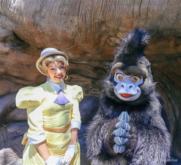 Why is there no Tarzan at Disney World? – Celebrity