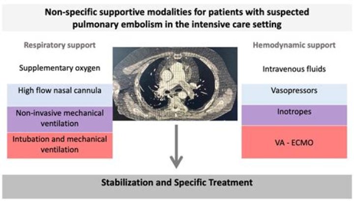 Windell Middlebrooks Died From Pulmonary Embolism, Middlebrooks? What Happened